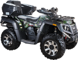 Утилитарный квадроцикл WELS ATV 300