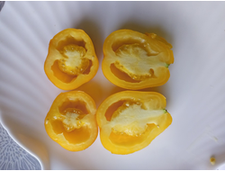 Томат Сливка Бендрика желтая