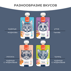 Wanpy Cat (Ванпи кэт) Лакомство для кошек Мясной мусс из курицы и моркови, 90 г