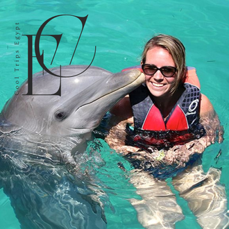 Плавание с дельфинами (30 минут) в дельфинарии Шарм Эль Шейха
