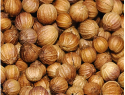 Кориандр (Coriandrum sativum) Иран, семена (5 мл) - 100% натуральное эфирное масло