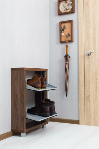 Обувница Айрон-2 (фасад стекло черное)