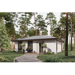 Одноэтажный дом с тремя спальнями 77м² (S109)