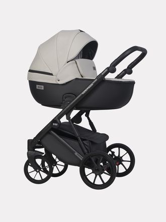 Коляска 2в1 Riko Basic Montana Ecco 31 Light Silver-Black