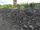 Уголь каменный марки "ДР"(0-300 мм.), Казахстан