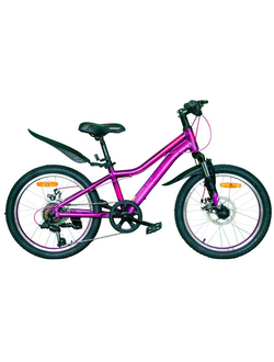 Велосипед 20" NAMELESS J2200DW фиолетовый