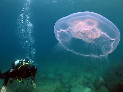 Владивосток - святыни и отдых на море