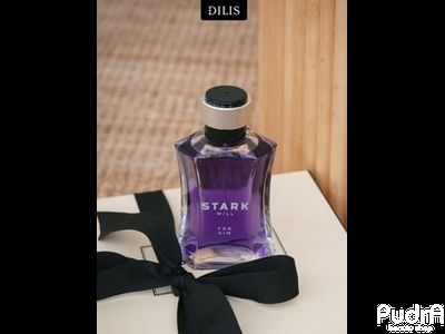 Dilis Туалетная вода мужская Stark WILL | Дилис