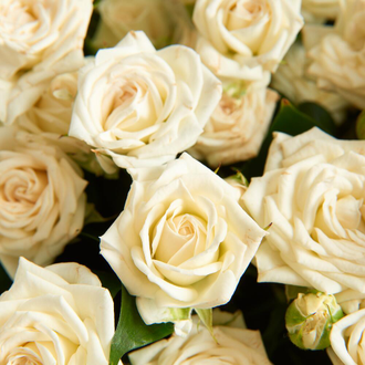 11 белых кустовых роз