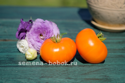 Томат Персик и Крем (Peaches and Cream), 10 шт