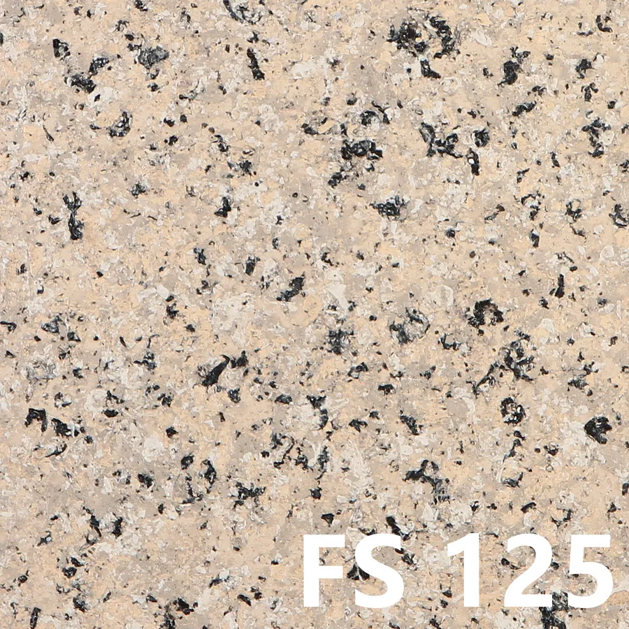 FS125