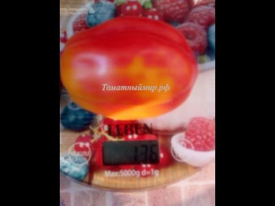 Томат Калифорнийский тюльпан (California tulip)