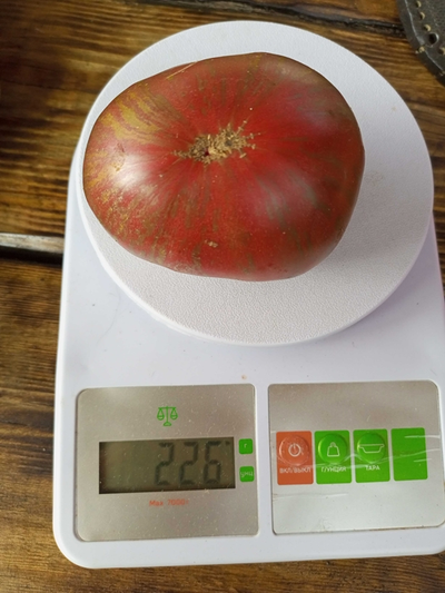 Томат Гном Малиновая нерка (Dwarf Crimson Sockeye)