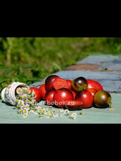 Томат Темная Галактика, 10 шт