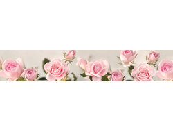 Фартук на МДФ КФ-042-1 Розовые розы