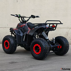 Электроквадроцикл ECO MINI X3 36V50AH