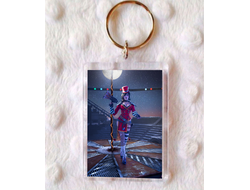 Брелок акриловый Borderlands, Бордерленд №12