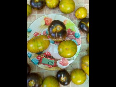 Томат Зеленая богиня Ксанаду (Xanadu Green Goddess), США