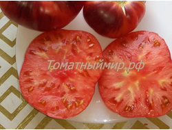 Томат Лазурный гигант (Azure Giant)