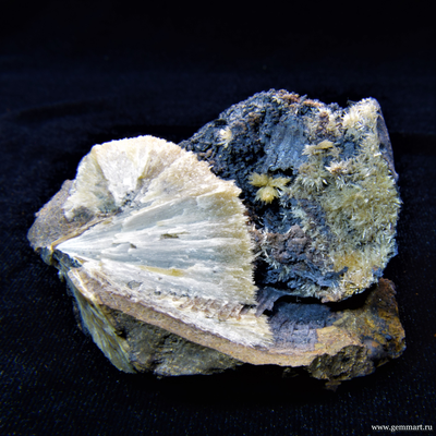 Барит на псиломелане в полости ракушки. 50*50*42мм