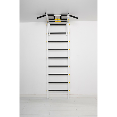 Шведская стенка Ferrum Force FR1 купить в Воронеже