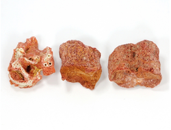 Коралл природный в ассортименте, Индонезия (20-23 мм, 3-4,5 г) №27527