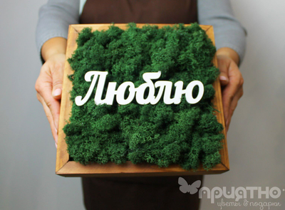 ЖИВАЯ ЭКО-КАРТИНА 1060