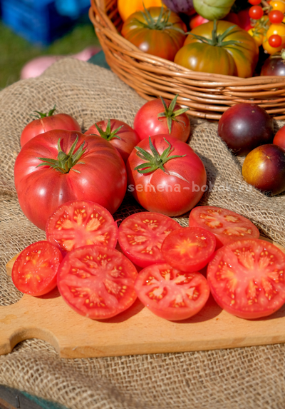 Томат Rebel Starfighter Kayleigh Anne Pink (Восставший Звездный Истребитель Кейли Энн Пинк ), 10 шт