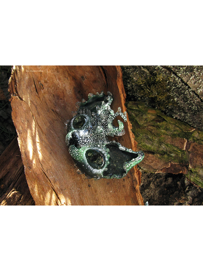 Фэнтези-брошь "Лесной ЛосеРог" из серии Лесных КотоРогов