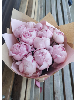 11 розовых пионов