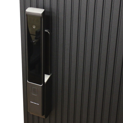 Стальная дверь   Jazz. Заказная модель.