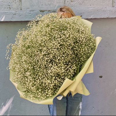 Букет-гигант из гипсофилы
