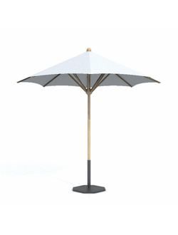 зонты Зонт 9