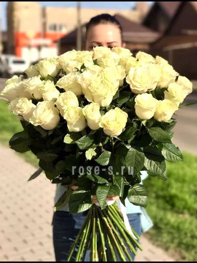 51 эквадорская роза (цвет на выбор)