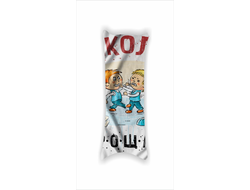 Дакимакура Выпускной №8