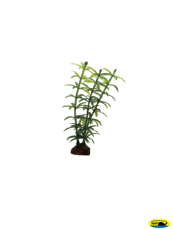 1170510- АRТ Набор Элодея  10см иск. рас. 6шт