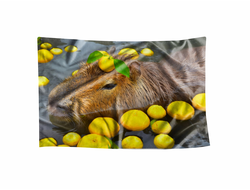 Флаг Капибара, Kapibara-san №26