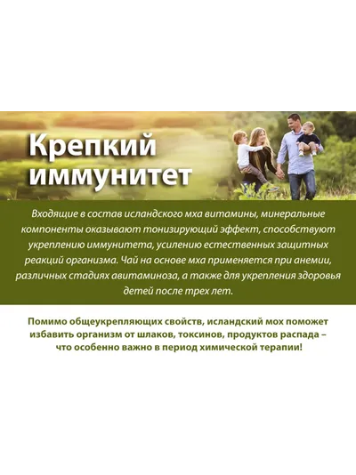 Исландский мох в пирамидках