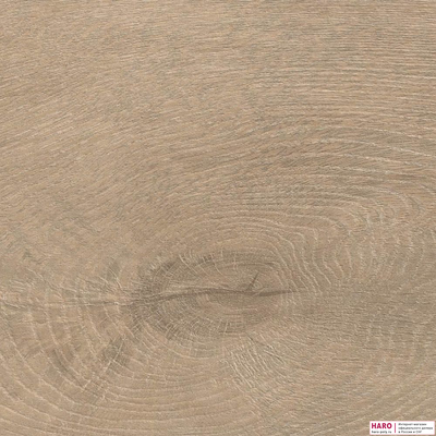 Декор ламината Haro Tritty 100 Loft 4V Дуб Венето Кремовый 538719 структура