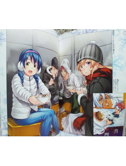 Оригинальный Арт Бук  Shokugeki no Soma - Last Fan Book (Повар-боец Сома)