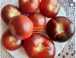Томат Шеф Юбер (Chef Hubert)