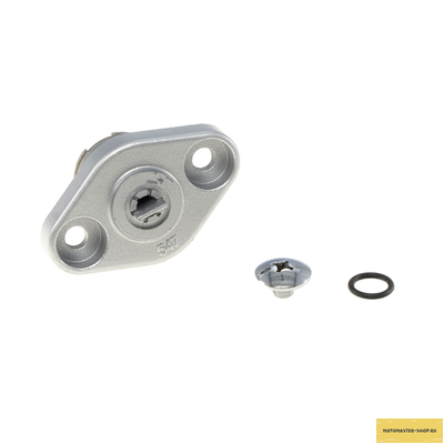 Натяжитель цепи ГРМ KAYO двиг. ZS CB250D-G (воздушный) (P060834) CN