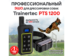 Trainertec PTS1200