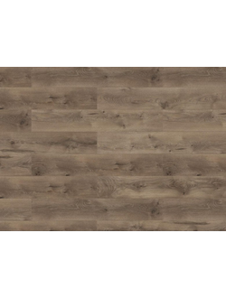 Дуб Данди 47725