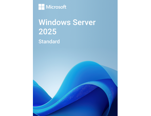 Microsoft Windows Server 2025 Standard Commercial Perpetual License