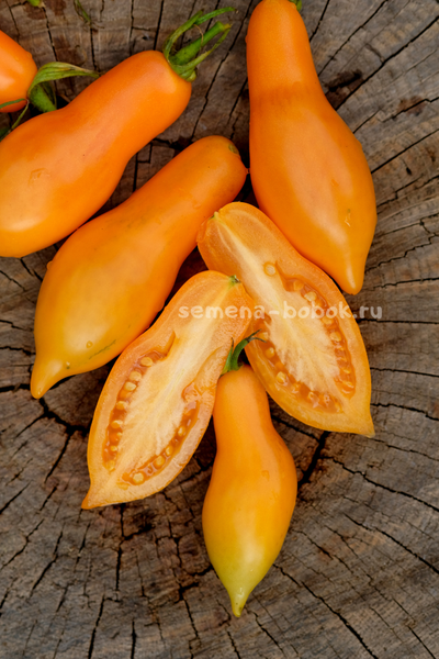 Томат Валентино ( Valentino ), 10 шт