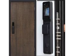 Дверь с биометрическим замком Твист Intelli Smart