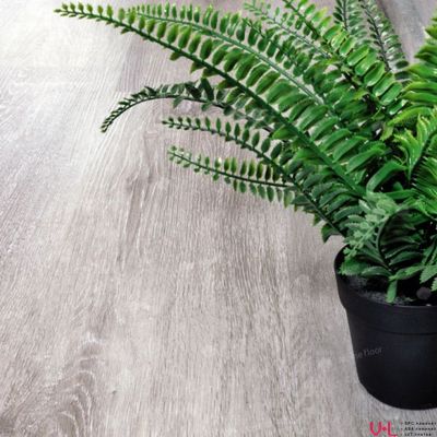 SPC ламинат Alpine Floor Classic Light Ясень Серый ECO 134-55 купить на vinyl-laminat.ru