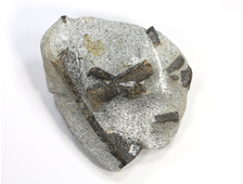 Ставролит, сросток кристаллов на сланце, Россия, Кольский п-ов (65*53*25 мм, 89 г) №21803