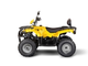 Квадроцикл IRBIS ATV 250